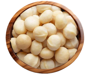 ماکادمیا
