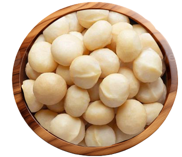 ماکادمیا