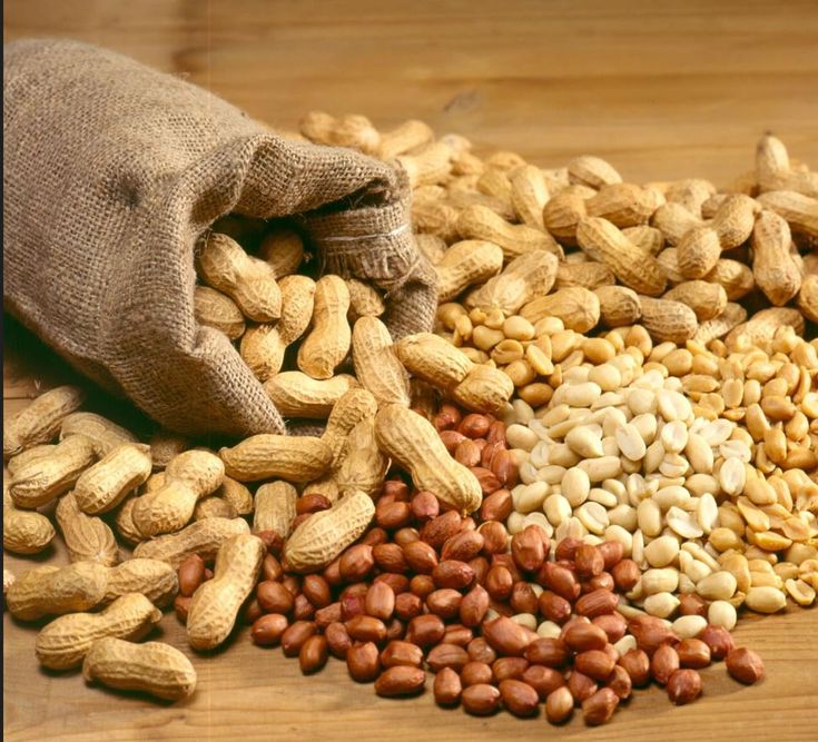 بادام زمینی تازه و خوشمزه برای خرید عمده بادام زمینی با کیفیت